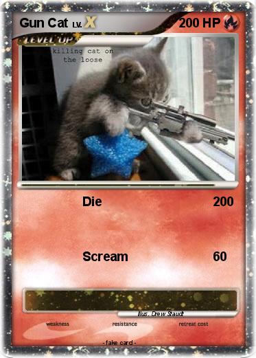Pokemon Gun Cat