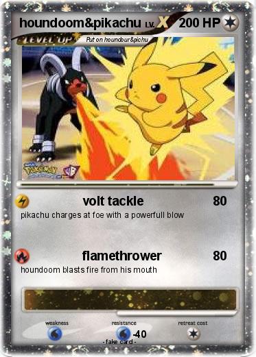 Pokemon houndoom&pikachu