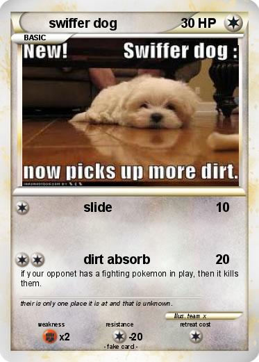 Pokemon swiffer dog