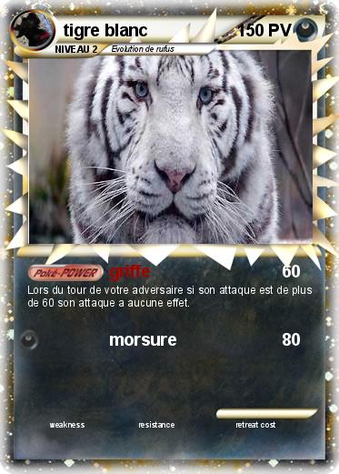 Pokemon tigre blanc