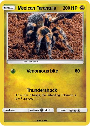 Pokemon Mexican Tarantula