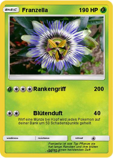 Pokemon Franzella