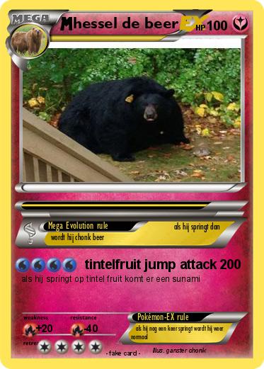 Pokemon hessel de beer