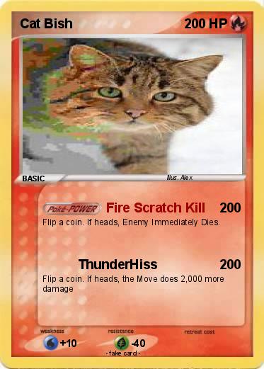 Pokemon Cat Bish