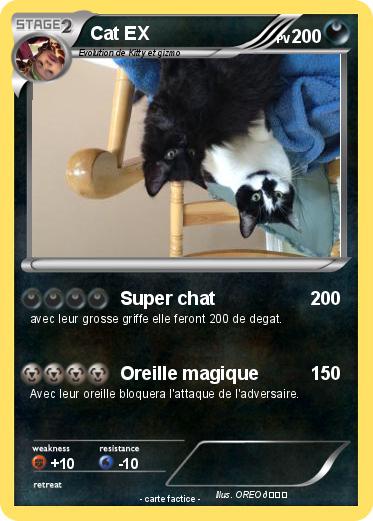Pokemon Cat EX