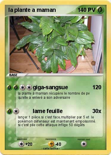 Pokemon la plante a maman