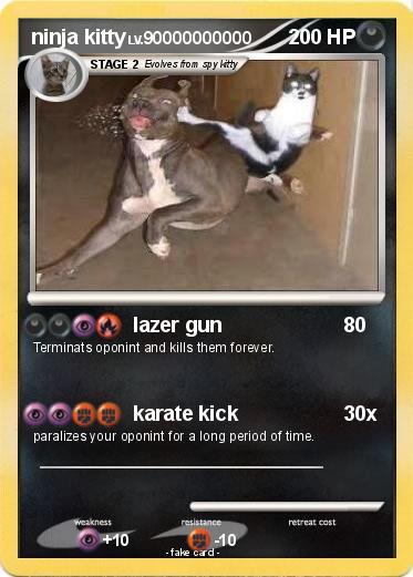 Pokemon ninja kitty
