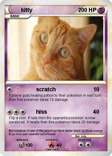 Pokemon kitty
