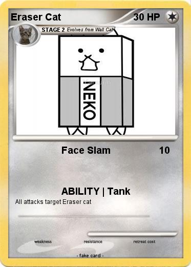 Pokemon Eraser Cat
