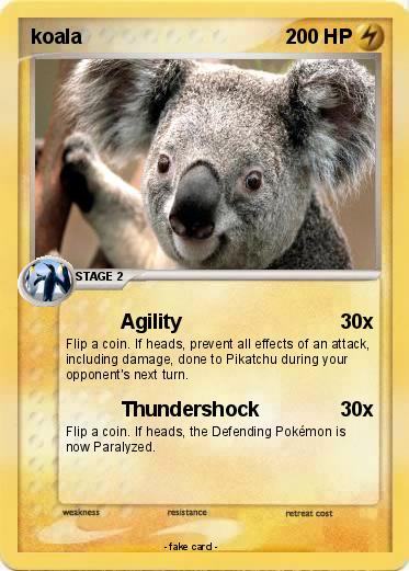 Pokemon koala