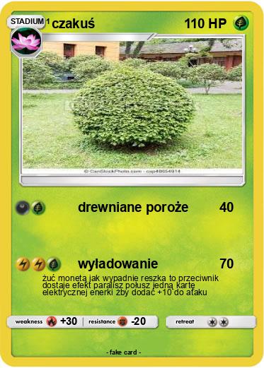 Pokemon czakuś