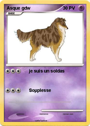 Pokemon Asque gdw