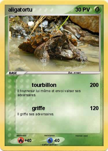 Pokemon aligatortu