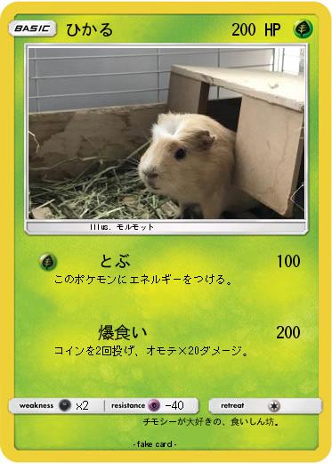 Pokemon ひかる