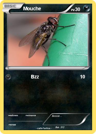 Pokemon Mouche