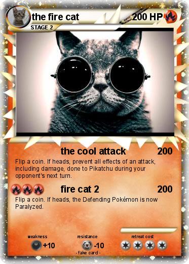 Pokemon the fire cat