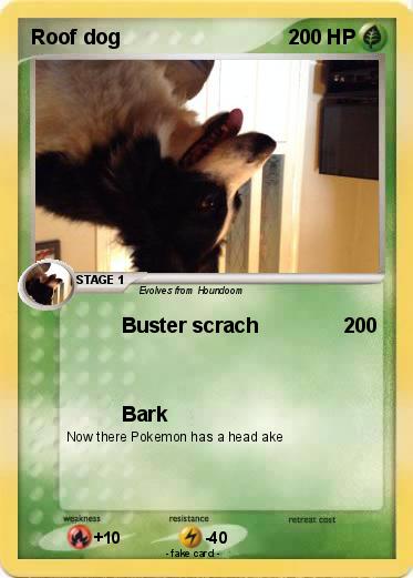 Pokemon Roof dog