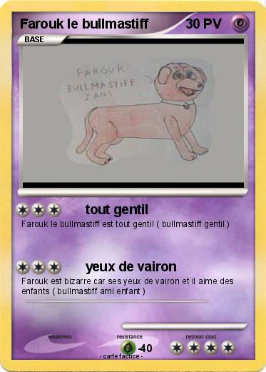 Pokemon Farouk le bullmastiff