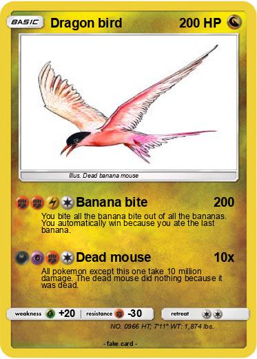 Pokemon Dragon bird
