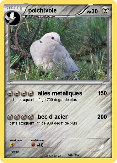 Pokemon poichivole