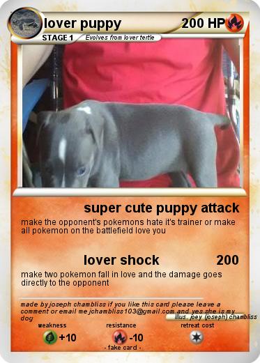 Pokemon lover puppy