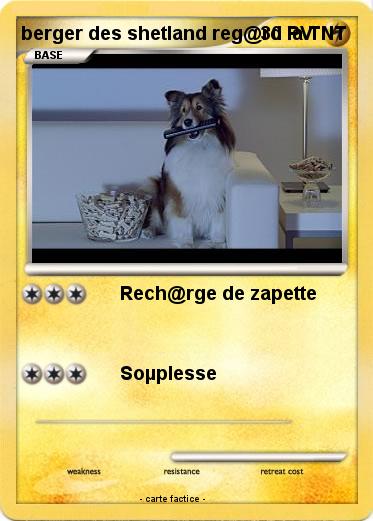 Pokemon berger des shetland reg@rd la TNT