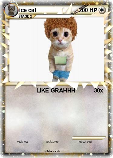 Pokemon ice cat