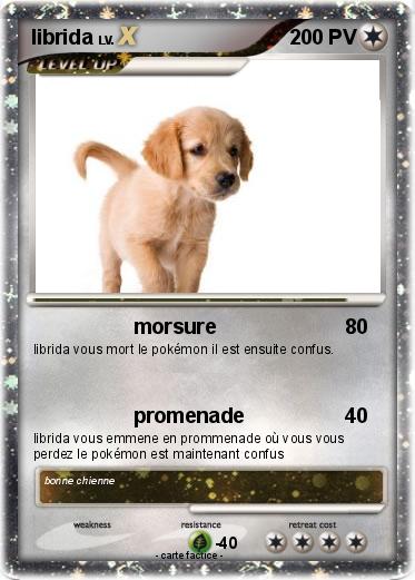 Pokemon librida