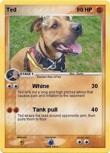Pokemon Ted
