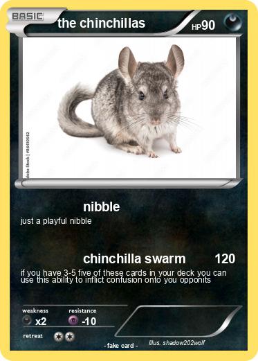 Pokemon the chinchillas