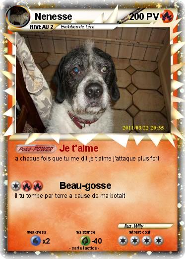 Pokemon Nenesse