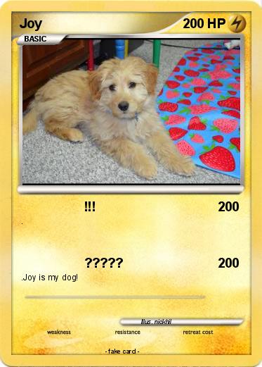 Pokemon Joy