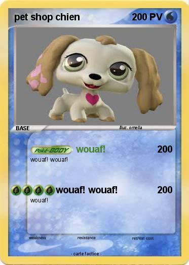 Pokemon pet shop chien