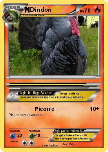 Pokemon Dindon