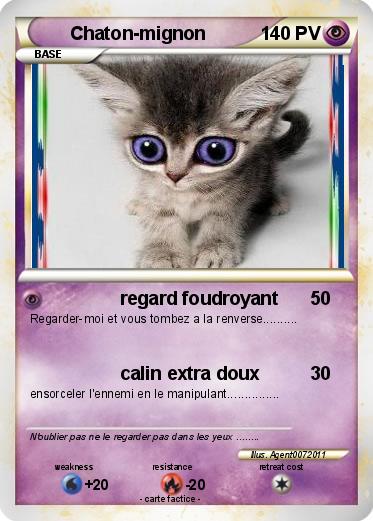Pokemon Chaton-mignon