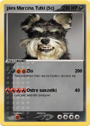 Pokemon pies Marcina Tutki (5c)