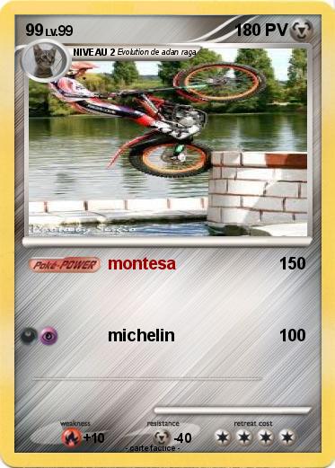 Pokemon 99