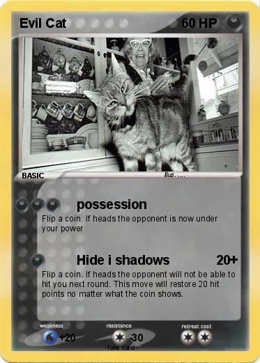 Pokemon Evil Cat