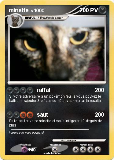 Pokemon minette