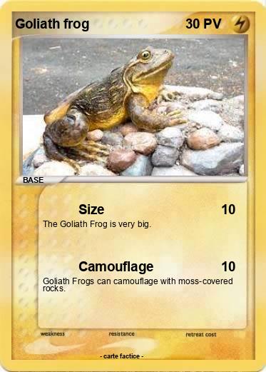 Pokemon Goliath frog
