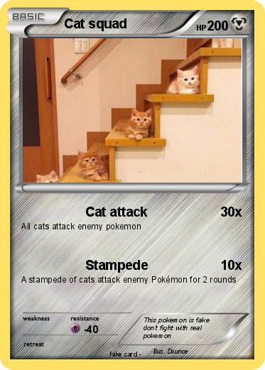 Pokemon Cat squad