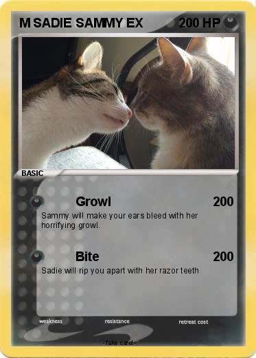 Pokemon M SADIE SAMMY EX