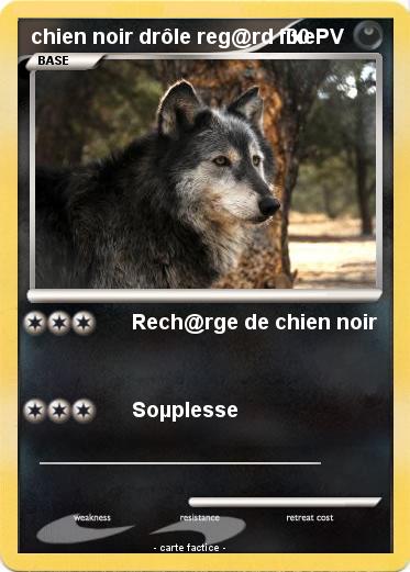 Pokemon chien noir drôle reg@rd fixe
