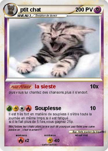 Pokemon ptit chat