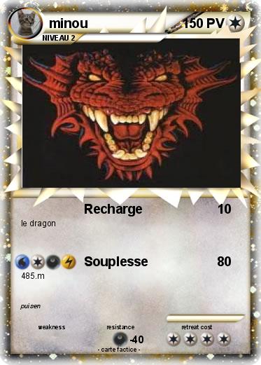 Pokemon minou