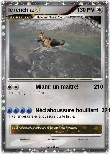 Pokemon le iench