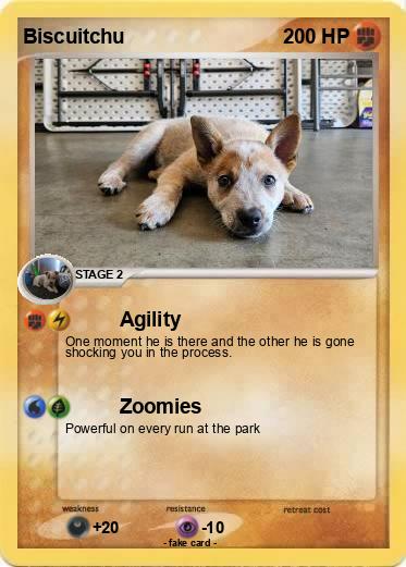 Pokemon Biscuitchu