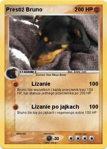 Pokemon Prestiż Bruno