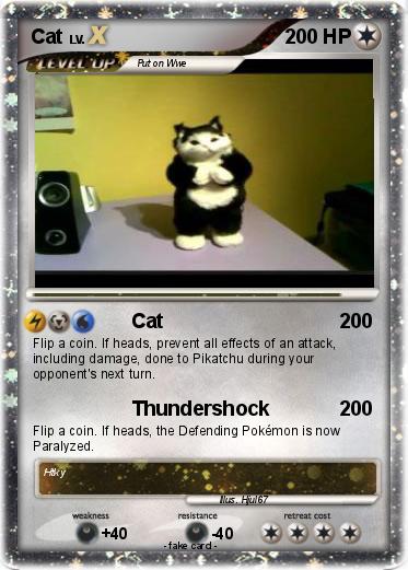 Pokemon Cat