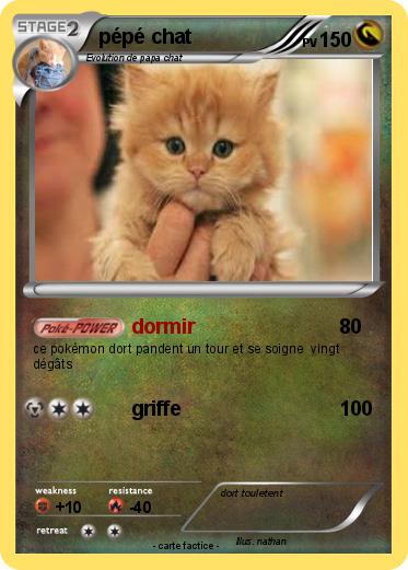 Pokemon pépé chat